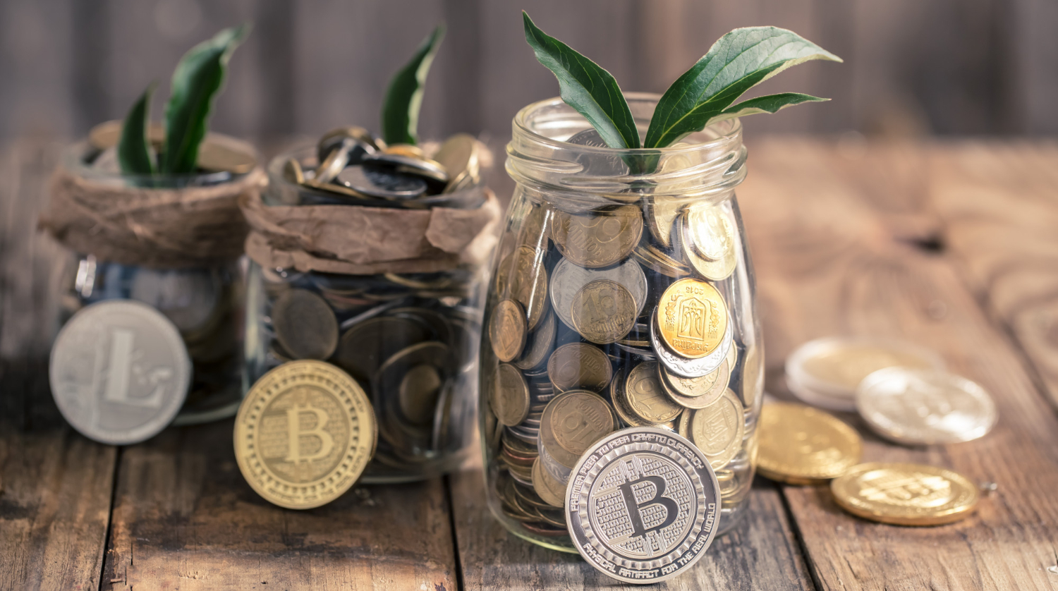 Stablecoin Development Company
